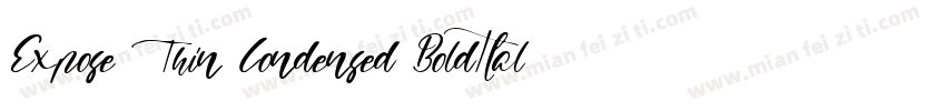 Expose Thin Condensed BoldItalic字体转换